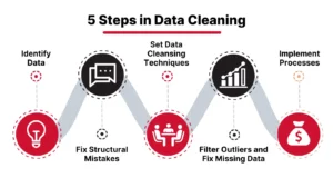 5 Steps in Data Cleansing